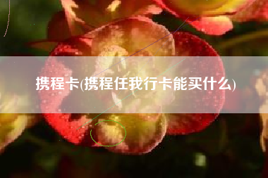 携程卡(携程任我行卡能买什么)