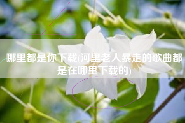 哪里都是你下载(河里老人暴走的歌曲都是在哪里下载的)