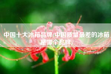 中国十大冰箱品牌(中国质量最差的冰箱是哪个品牌)