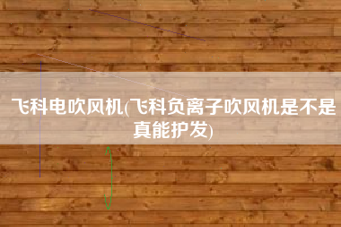 飞科电吹风机(飞科负离子吹风机是不是真能护发)