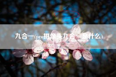 详细阅读:九合一(pro摄像头九合一是什么) 九合一(pro摄像头九合一是什么)