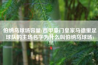 详细阅读:伯纳乌球场容量(西甲豪门皇家马德里足球队的主场名字为什么叫伯纳乌球场) 伯纳乌球场容量(西甲豪门皇家马德里足球队的主场名字为什么叫伯纳乌球场)