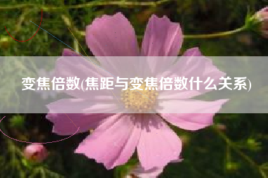 详细阅读:变焦倍数(焦距与变焦倍数什么关系) 变焦倍数(焦距与变焦倍数什么关系)