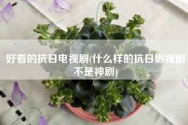 好看的抗日电视剧(什么样的抗日影视剧不是神剧)