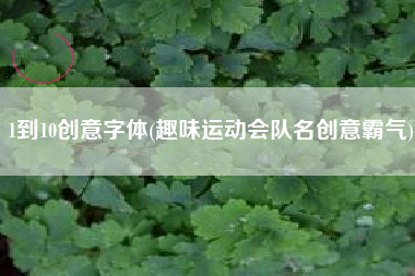 1到10创意字体(趣味运动会队名创意霸气)