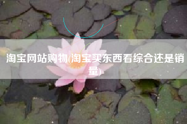 淘宝网站购物(淘宝买东西看综合还是销量)
