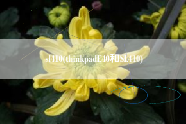 sl410(thinkpadE40和SL410)