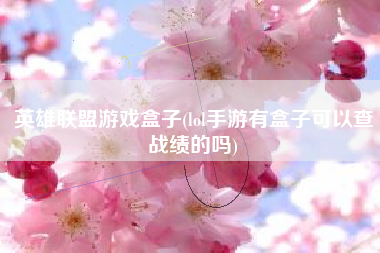 英雄联盟游戏盒子(lol手游有盒子可以查战绩的吗)