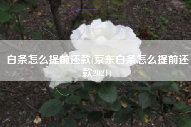 详细阅读:白条怎么提前还款(京东白条怎么提前还款2021) 白条怎么提前还款(京东白条怎么提前还款2021)