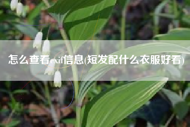 怎么查看exif信息(短发配什么衣服好看)