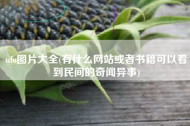ufo图片大全(有什么网站或者书籍可以看到民间的奇闻异事)