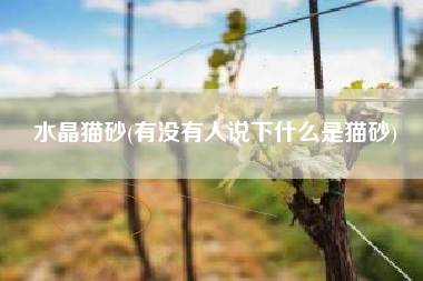 水晶猫砂(有没有人说下什么是猫砂)