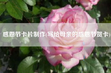 感恩节卡片制作(写给母亲的感恩节贺卡)