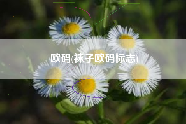 欧码(袜子欧码标志)