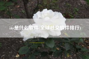 ins是什么软件(全球社交软件排行)