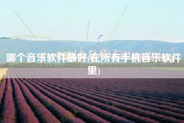 哪个音乐软件最好(在所有手机音乐软件里)