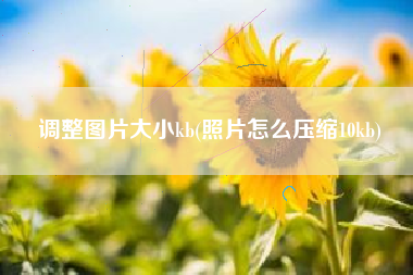 调整图片大小kb(照片怎么压缩10kb)