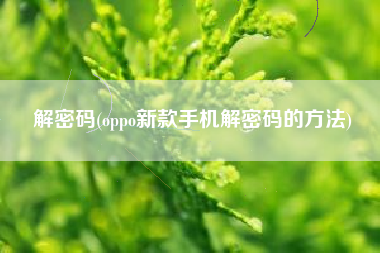 解密码(oppo新款手机解密码的方法)