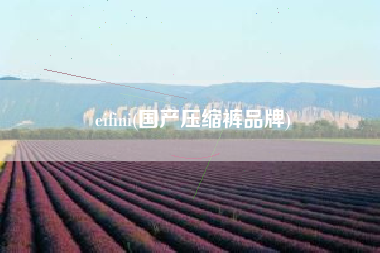 eifini(国产压缩裤品牌)