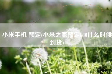 小米手机 预定(小米之家预定k40什么时候到货)