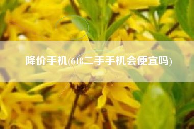 降价手机(618二手手机会便宜吗)