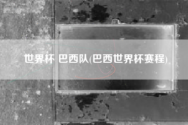 世界杯 巴西队(巴西世界杯赛程)