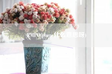 PMPO(pmqo什么意思呀)