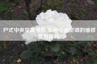 户式中央空调维修(家用中央空调的维修费用高吗)