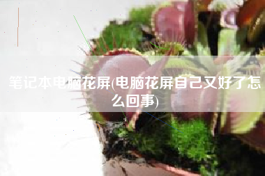 笔记本电脑花屏(电脑花屏自己又好了怎么回事)