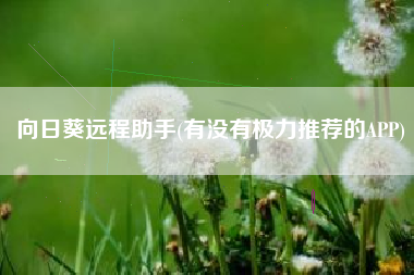 向日葵远程助手(有没有极力推荐的APP)