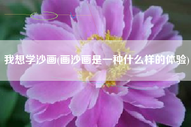 我想学沙画(画沙画是一种什么样的体验)
