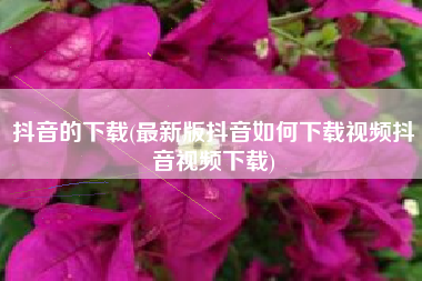 抖音的下载(最新版抖音如何下载视频抖音视频下载)