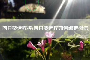 向日葵远程控(向日葵远程如何绑定微信)