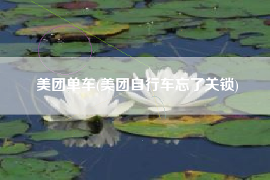 美团单车(美团自行车忘了关锁)