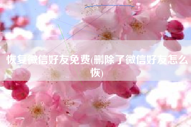 恢复微信好友免费(删除了微信好友怎么恢)