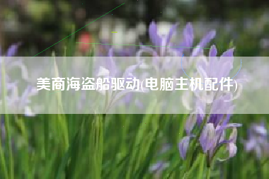 美商海盗船驱动(电脑主机配件)