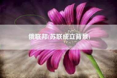 俄联邦(苏联成立背景)