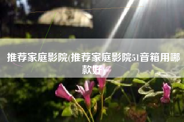 推荐家庭影院(推荐家庭影院51音箱用哪款好)