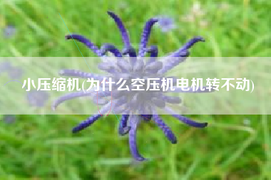 小压缩机(为什么空压机电机转不动)