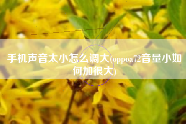 手机声音太小怎么调大(oppoa72音量小如何加很大)