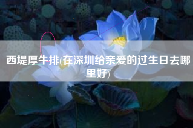 西堤厚牛排(在深圳给亲爱的过生日去哪里好)
