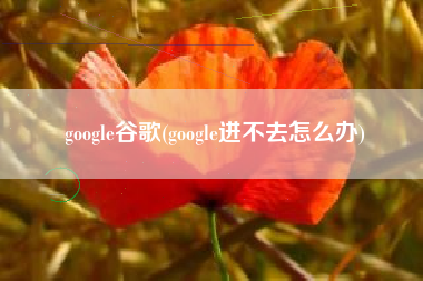 google谷歌(google进不去怎么办)