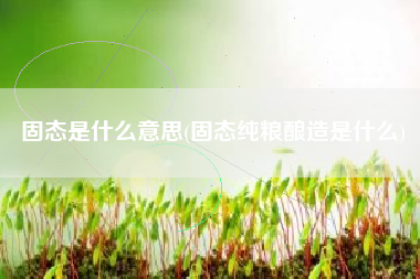 固态是什么意思(固态纯粮酿造是什么)