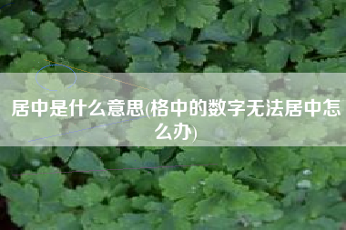 居中是什么意思(格中的数字无法居中怎么办)