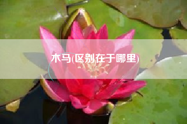 木马(区别在于哪里)