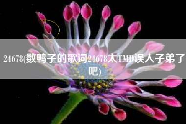 24678(数鸭子的歌词24678太TMD误人子弟了吧)