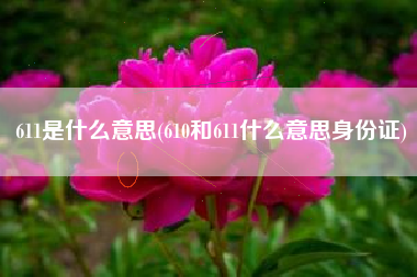 611是什么意思(610和611什么意思身份证)