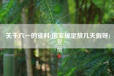 关于六一的资料(国家规定放几天假呀)