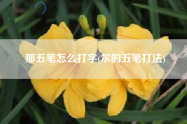 那五笔怎么打字(尔的五笔打法)