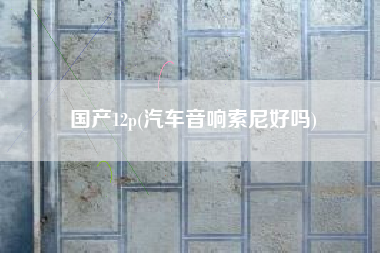 国产12p(汽车音响索尼好吗)